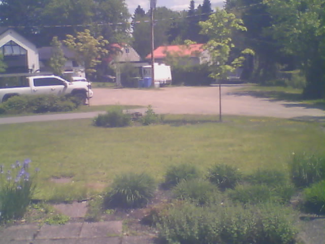 dailypic
